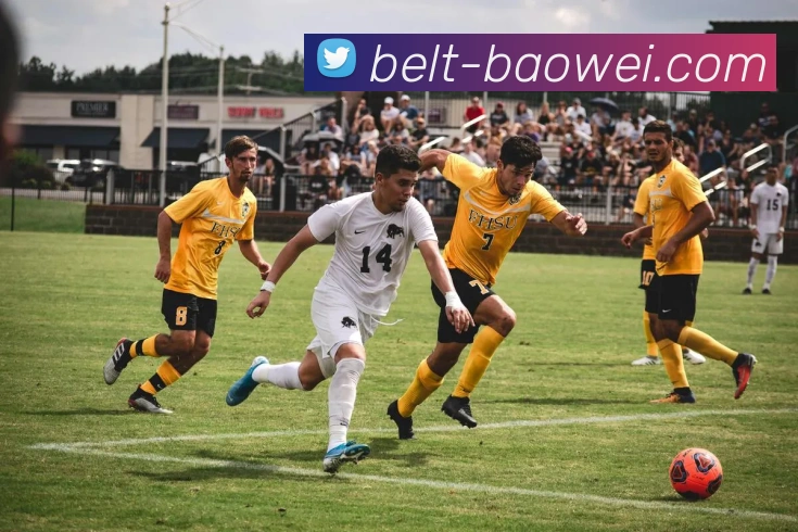 多媒体互动体验